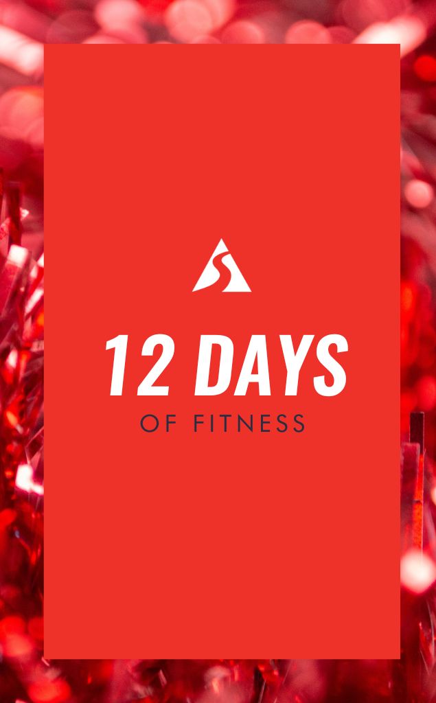 12 Days of Christmas at SVAC