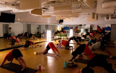 SVAC: The Place to Be For Yoga in St. Albert