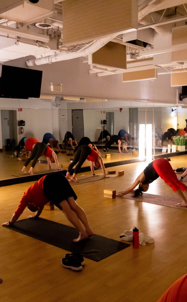 Yoga St. Albert Group Fitness