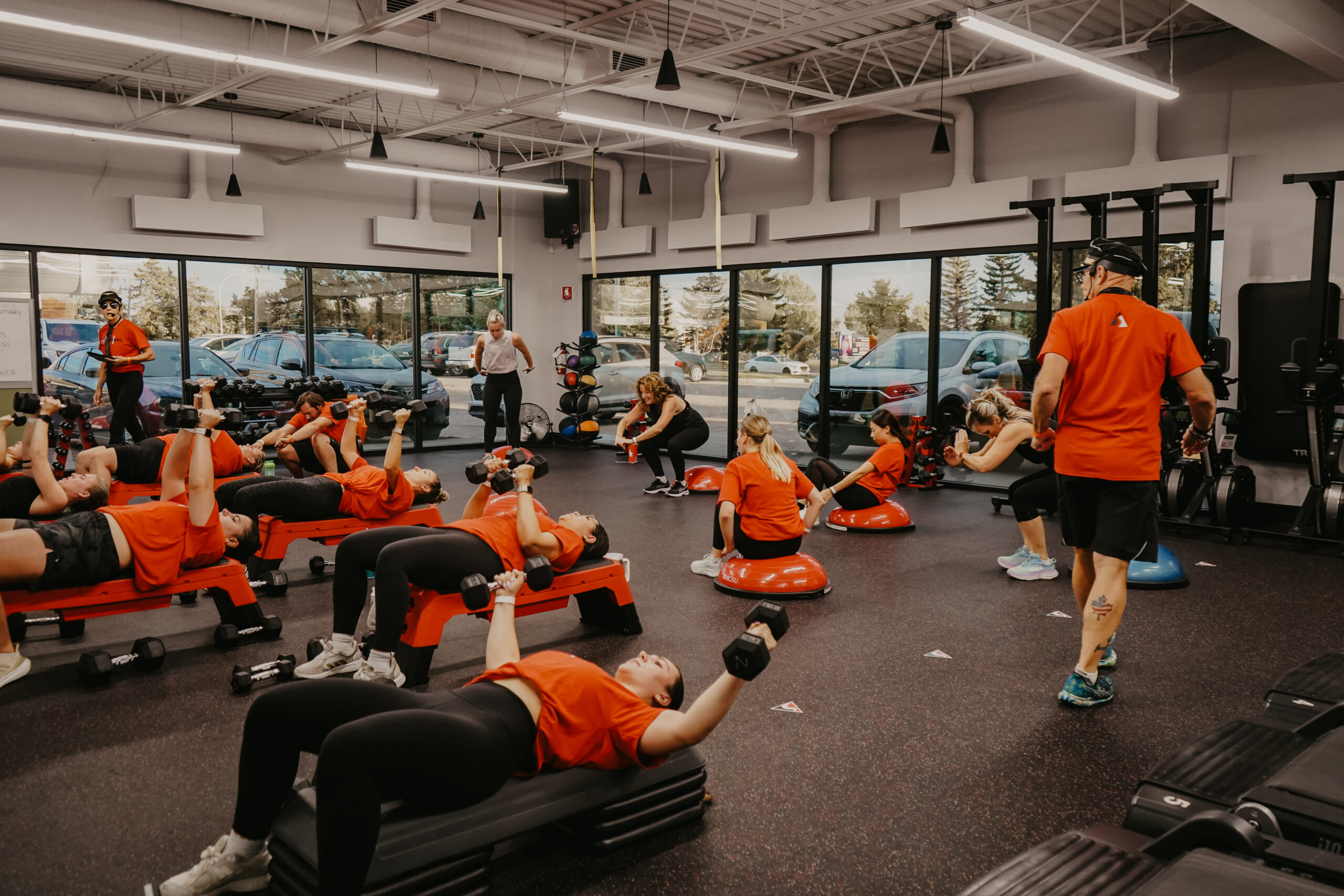 Physical Activity Course Jan 2025 Fitness Alberta Step 1: Foundations in Physical Activity ...