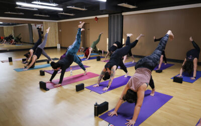 Fitness Alberta Mindbody Designation Sept 2025