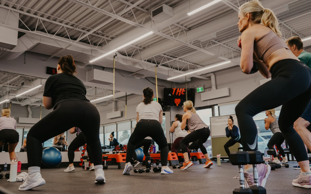  Fitness Alberta Foundations in Physical Activity and Exercise April 2025